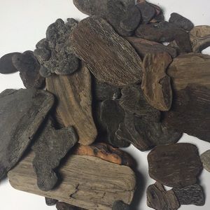 Northern California Driftwood bark